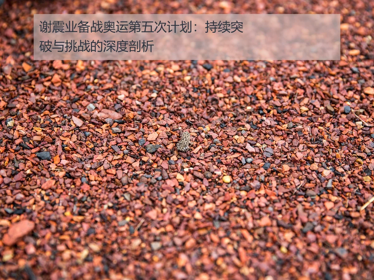 谢震业备战奥运第五次计划：持续突破与挑战的深度剖析